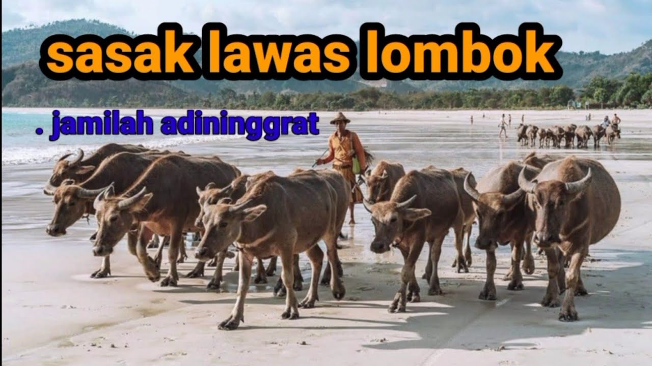 Lagu Sasak Lawas Lombok Thn 90an Mp3 .