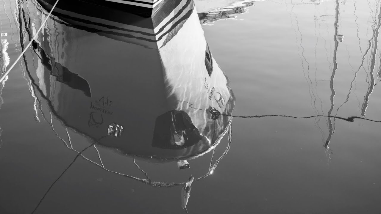 Black & White Photography Tutorial | Learn How to Master Monochrome Mode