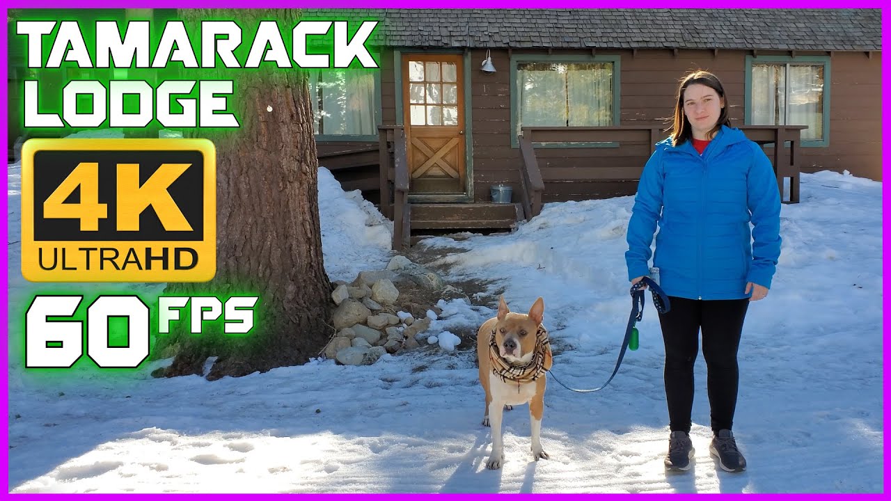 Tamarack Lodge Mammoth Mountain Vlog - 4K UHD 60fps Footage