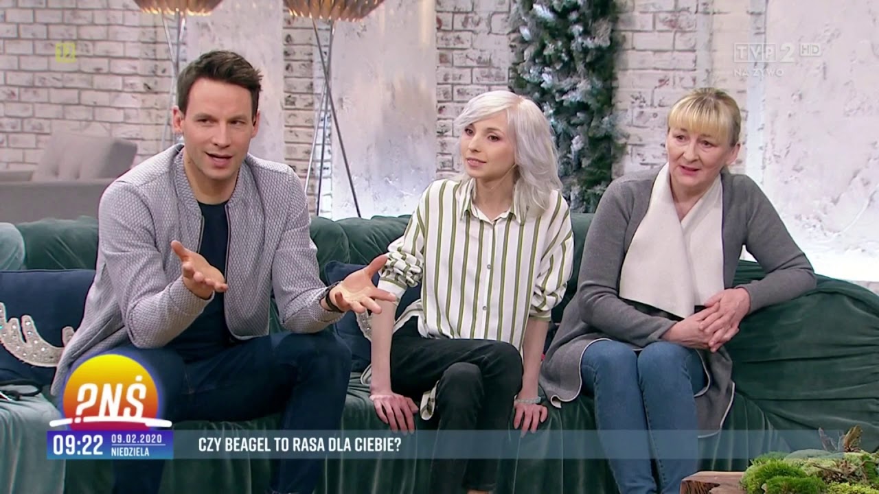Beagle przejęły studio programu śniadaniowego!