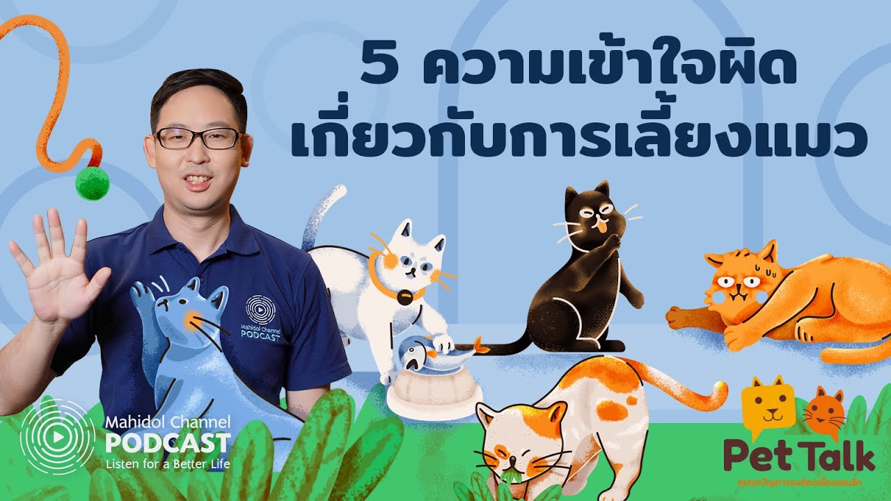 [PODCAST] Pet Talk | EP.2 - 5 ความเข้าใจผิดเกี่ยวกับการเลี้ยงแมว