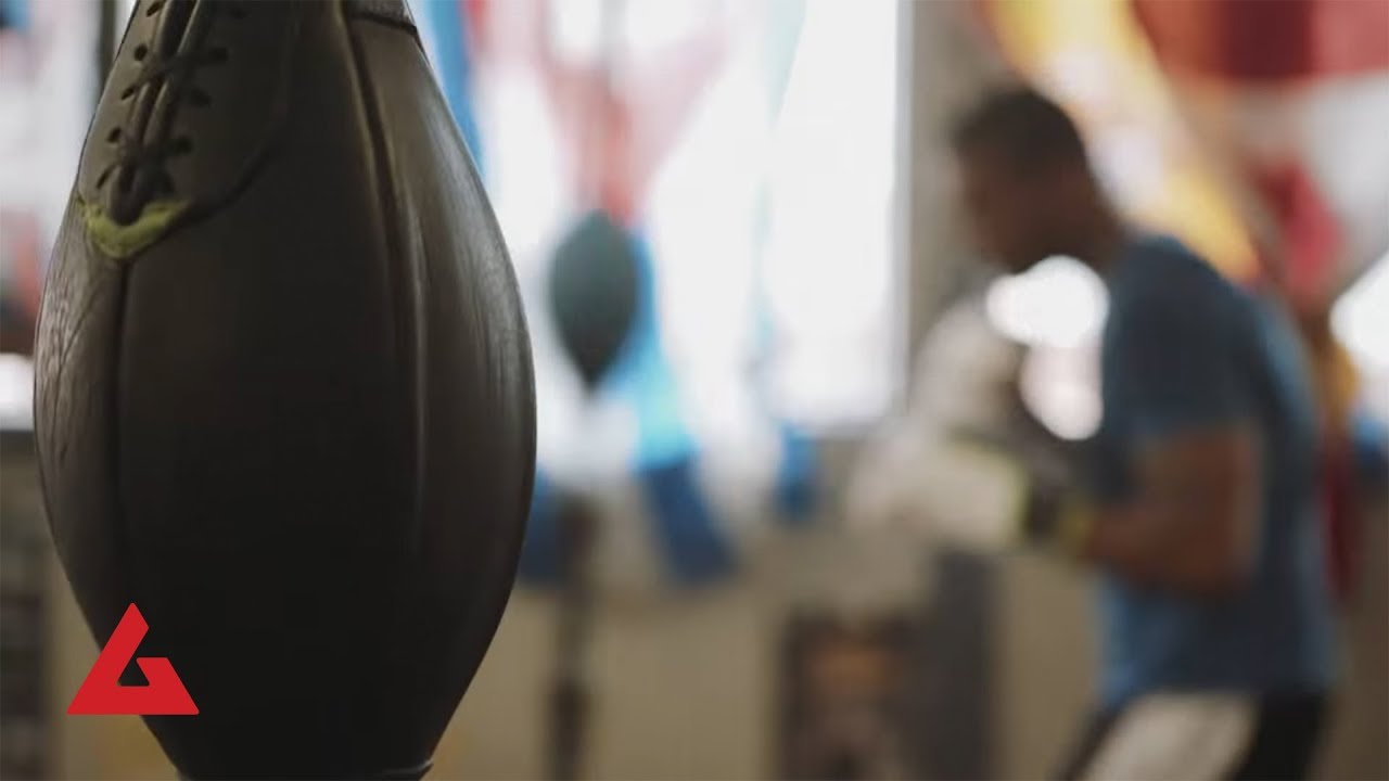 American Giant X Wild Card Boxing