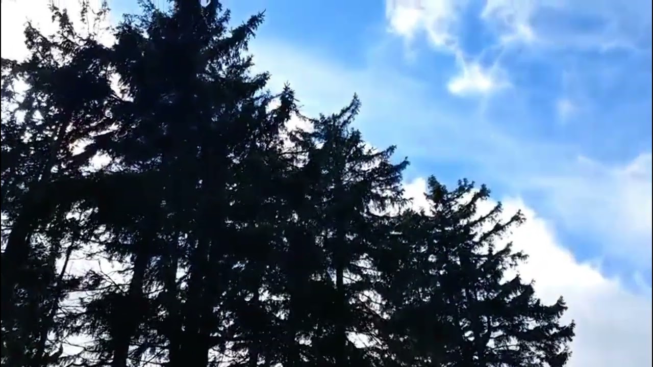 Vant puternic si nori stratocumulus în Muntii Taunus - 24 martie 2024