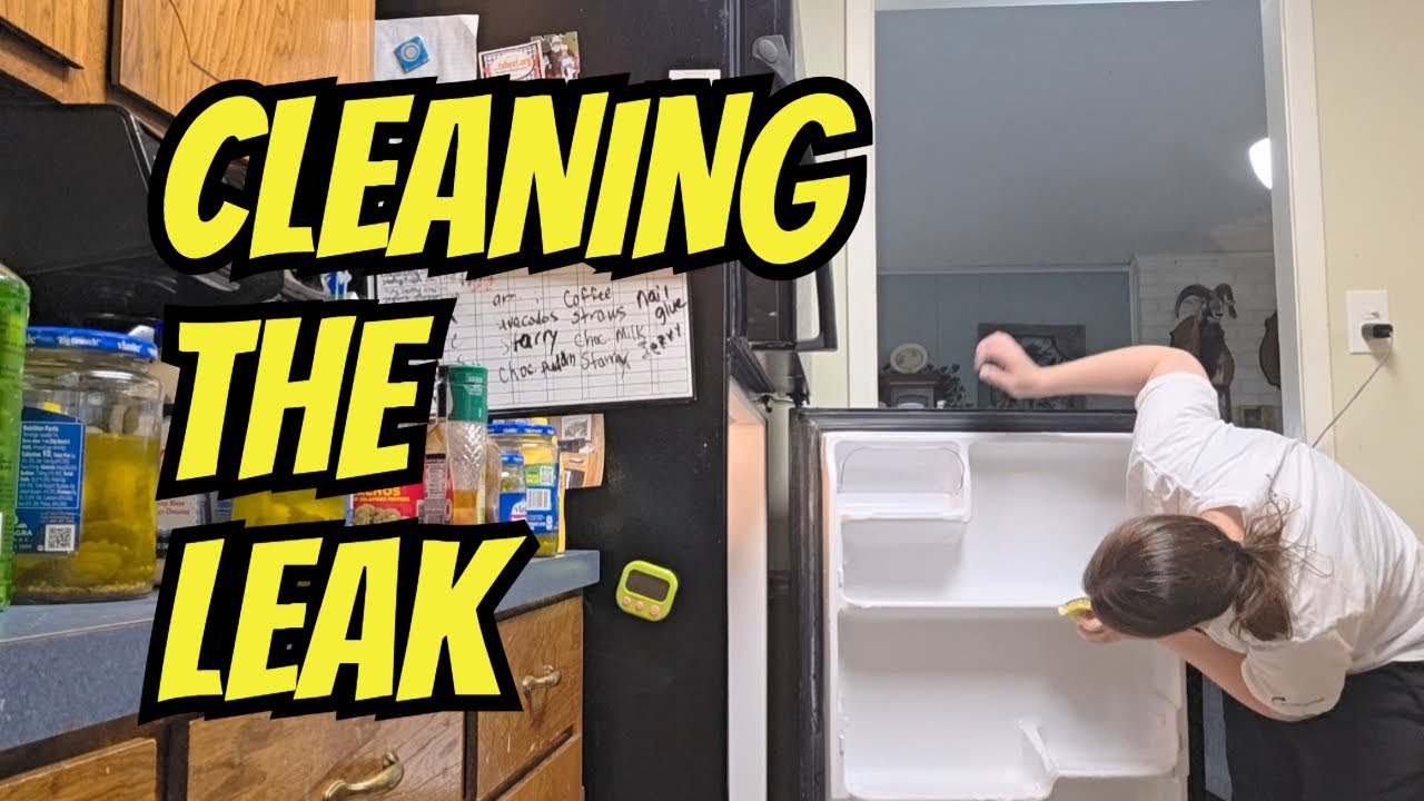 ULTIMATE DEEP CLEAN СО МНОЙ :: Что протекает в моем холодильнике?