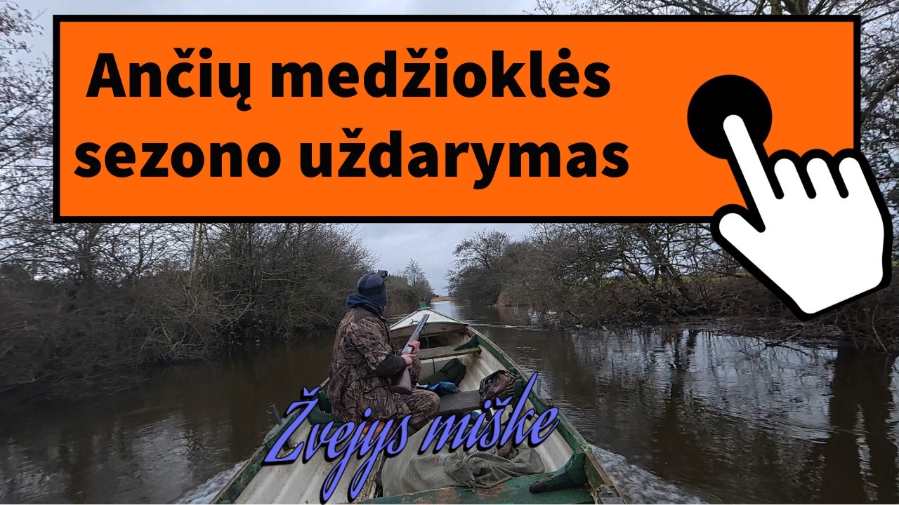 “Ančių medžioklės sezono pabaiga 2026 Paskutinė diena, geriausi šūviai ir emocijos!
