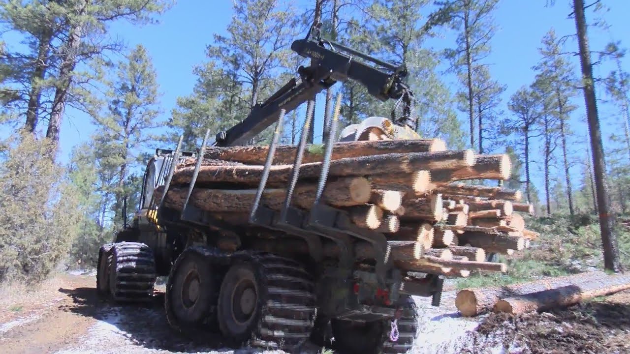 Carson National Forest restoration efforts continue following moth infections