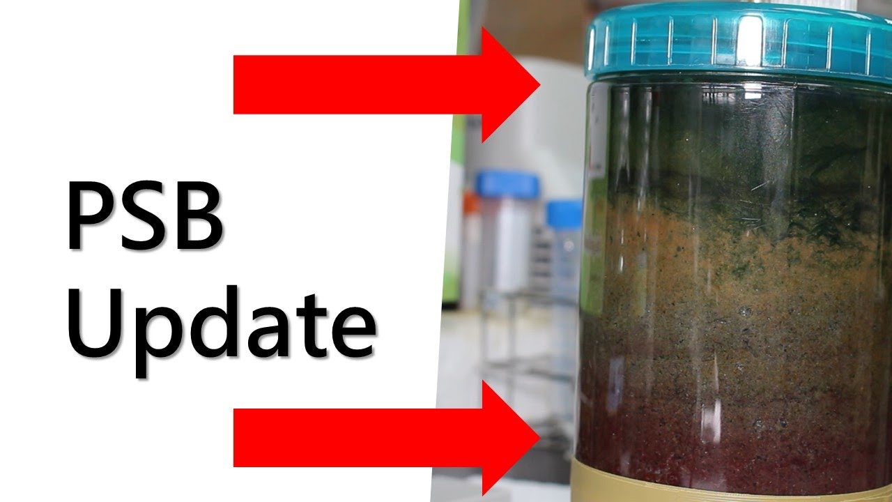 PSB Update