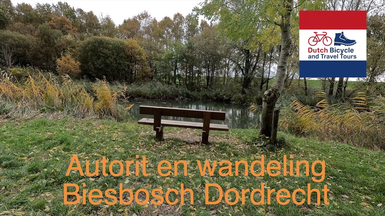 Met de  auto naar de Dordtse Biesbosch en wandeling door het natuurgebied.