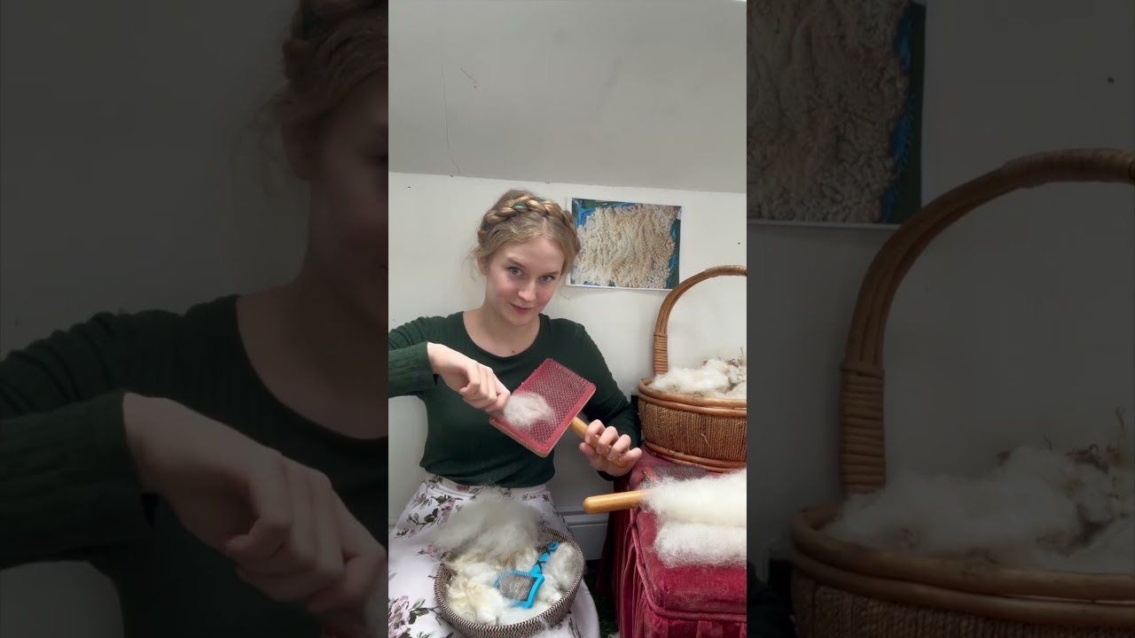 Carding rolags (clouds) of wool, ready for spinning! 