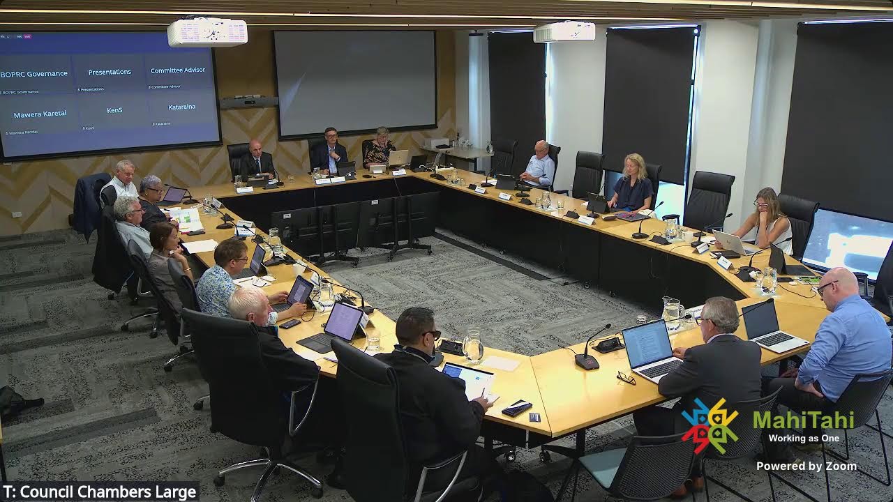 Risk, Assurance and Efficiency Committee - 18 March 2026