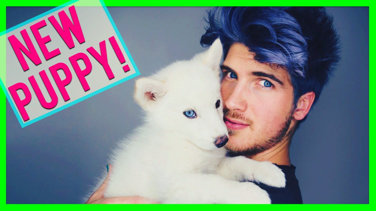 NEW PUPPY!