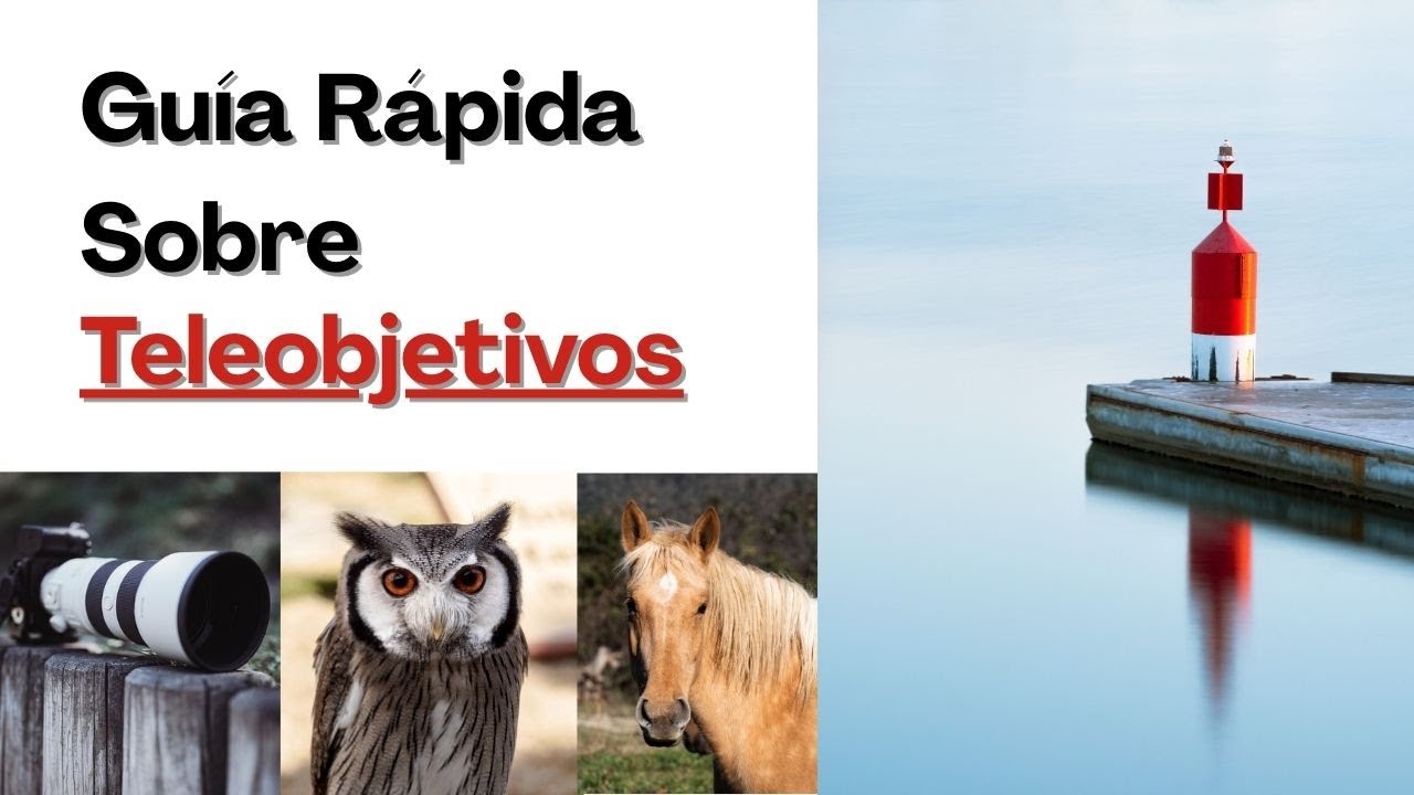 Fotografía con Teleobjetivo: Técnicas, Trucos y Errores a Evitar | Aprende Fotografía