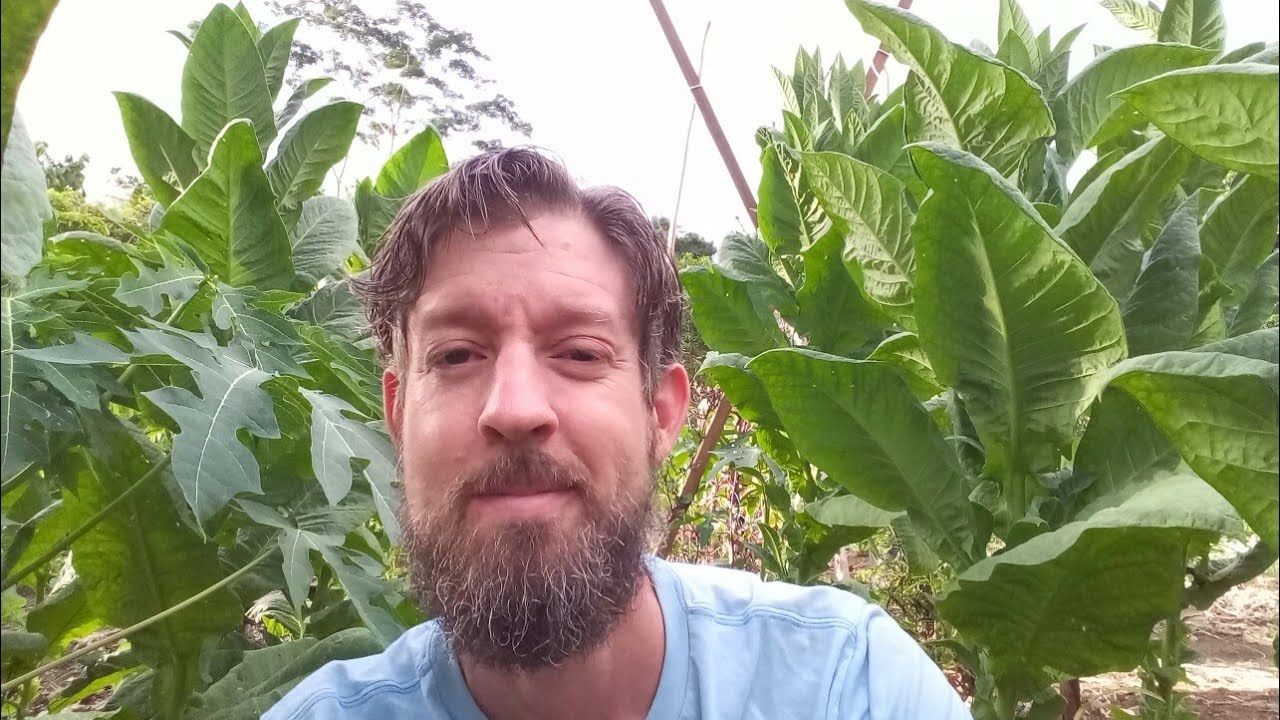 When to Transplant a Fig? (Survival Gardener Minute #039)