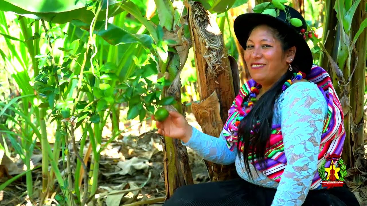 TEMA-MAS ANTIGO WASICHALLAY PUNCUPI DURASNO PLANTA FLOR ANDINA DE TAYACAJA EXPRESIÓN ANDINA DEL PERU