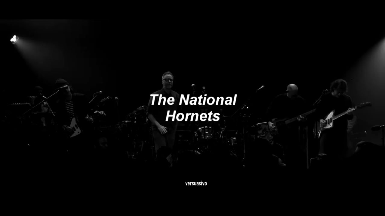 The National - Hornets (Sub Español)