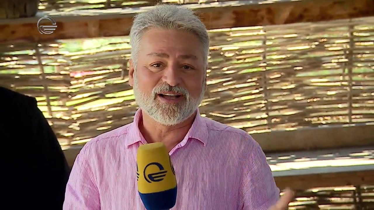 მოულოდნელი შეხვედრა ქართველებთან ამერიკაში