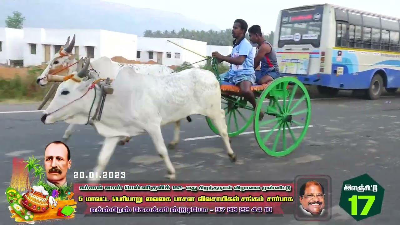 20.01.2023  கூடலூர் பந்தயம் 20.01.2023 இளஞ்சோடி | Express Galaxy