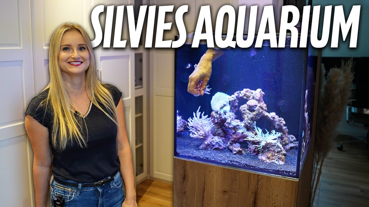 Ich bin Silvie und das ist mein MEERWASSERAQUARIUM - PlanktonPlus Aquaristik