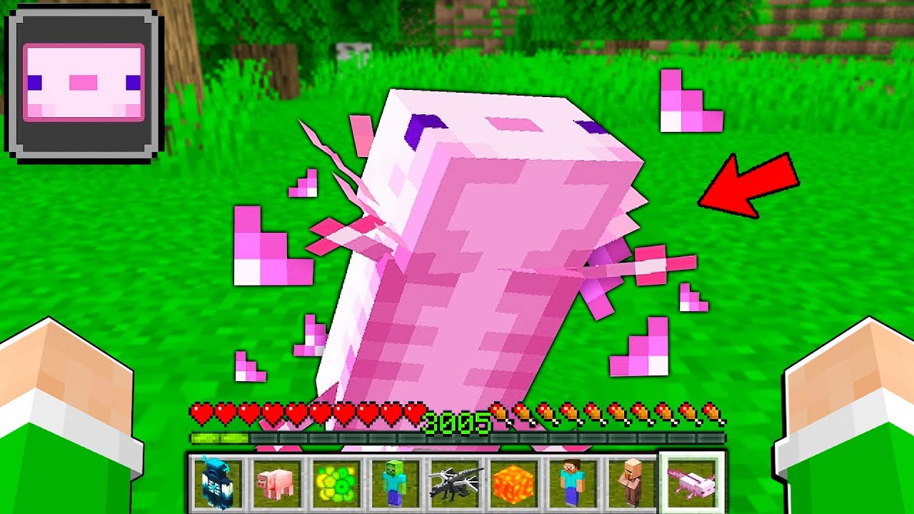 MINECRAFT MA POSSO MANGIARE I MOB!