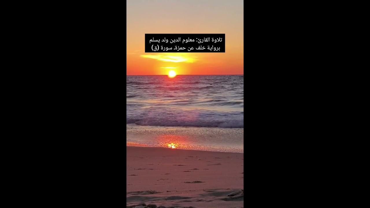 ١٧ ديسمبر ٢٠٢٤