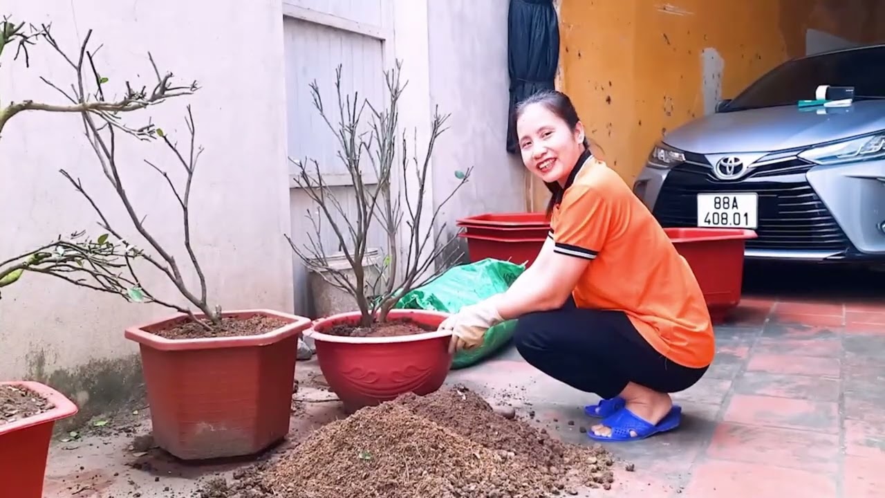 ĐẢO ĐẤT TRỒNG QUẤT SAU TẾT CỦA NGÂN HÀ