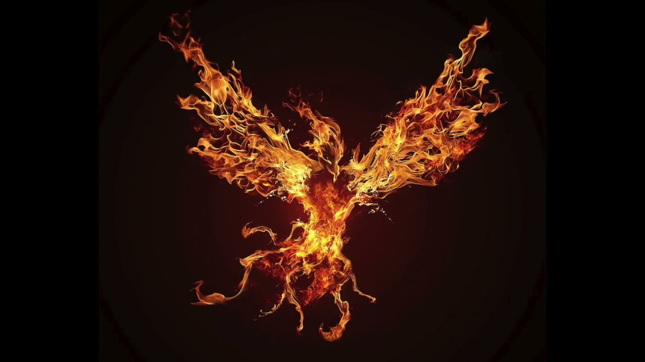 Epic Trap Beat - Hard 808 - Hard Drums (PHOENIX 70 BPM)