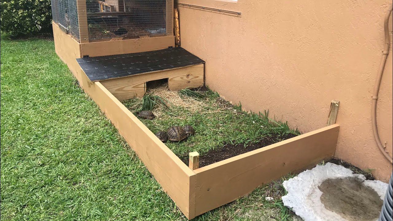 How to make an Outdoor Tortoise Enclosure