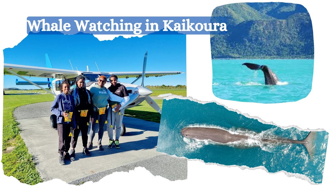 Scenic flight and whale watching in Kaikoura, New Zealand