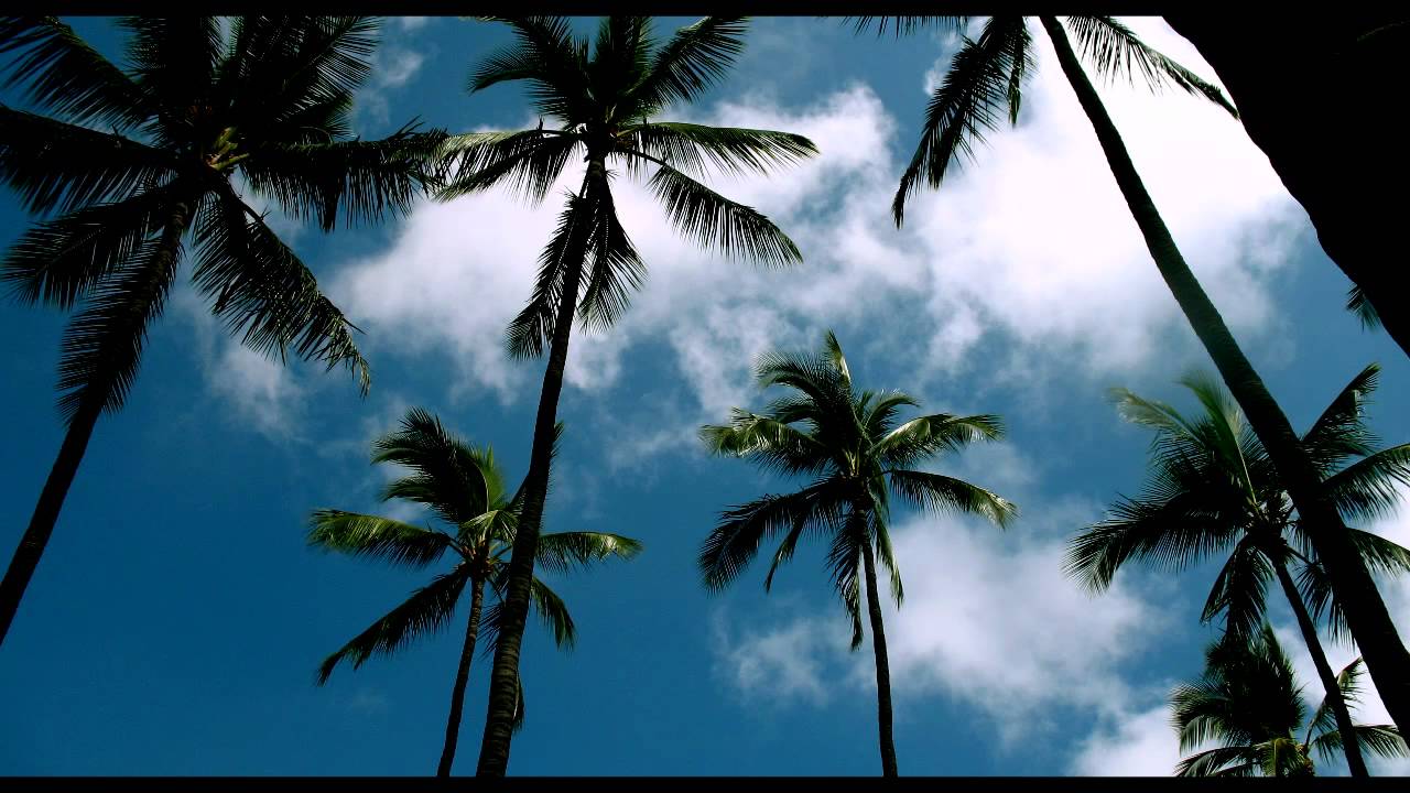 Kaskade - 4 AM (Adam K & Soha remix) *HD*