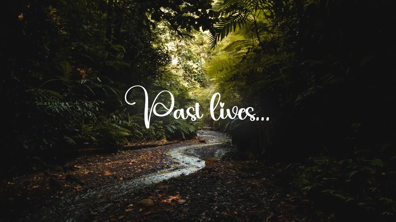 Past Lives (extended) - Stolen Vibes | (read the description)