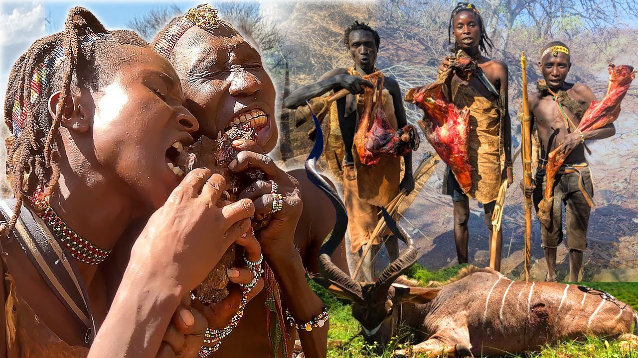 Hadzabe Tribe Cook After Hunting And Eat Delicious Food In The Wilderness Today
