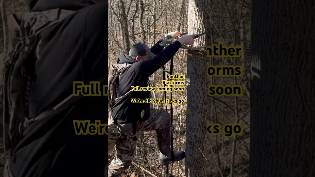 Climbing saddle platform that locks tight to the tree. #hunting #outdoors #climbing #saddlehunting