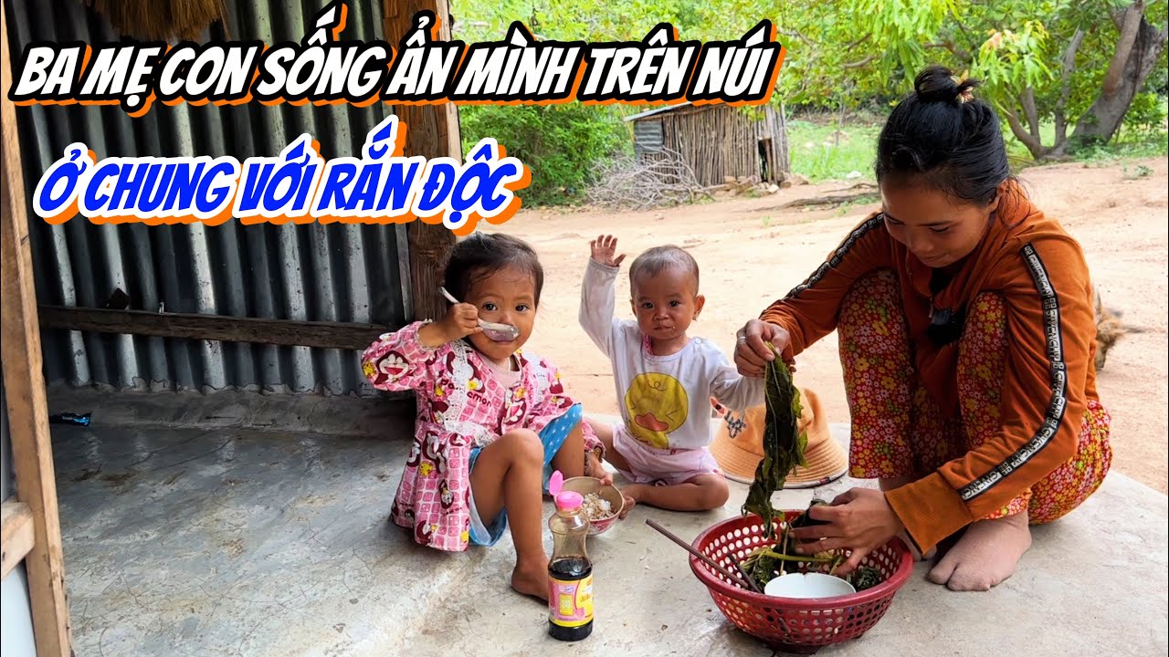 Ba Mẹ Con Sống Ẩn Mình Trên Núi Cao. Sống Chung Với Bầy Rắn Độc… | 366