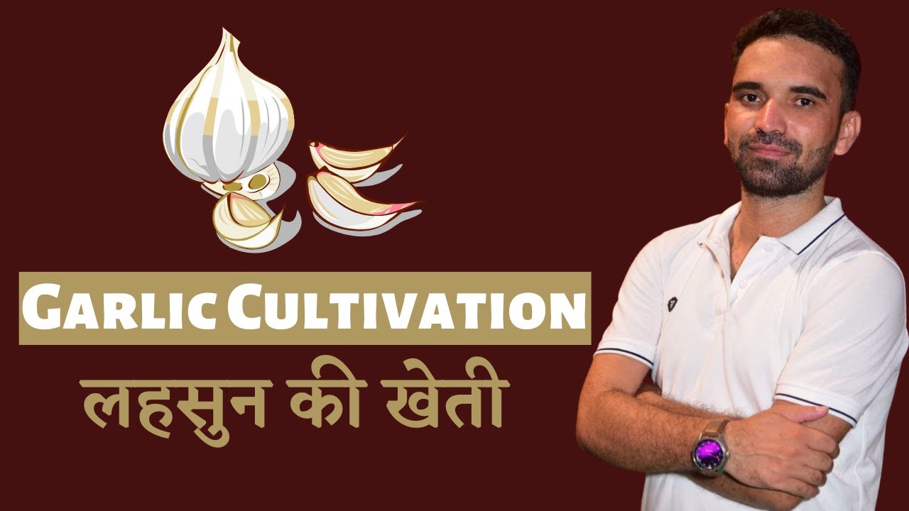 Garlic Cultivation/लहसुन की खेती - AFO, JRF, Pre-PG, NABARD, FCI, JRF