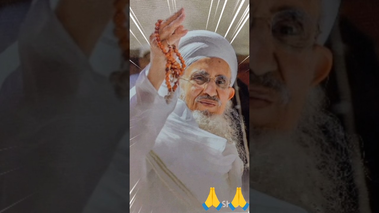 mufaddal moula.                 Hussain Azadari videos  #shorts