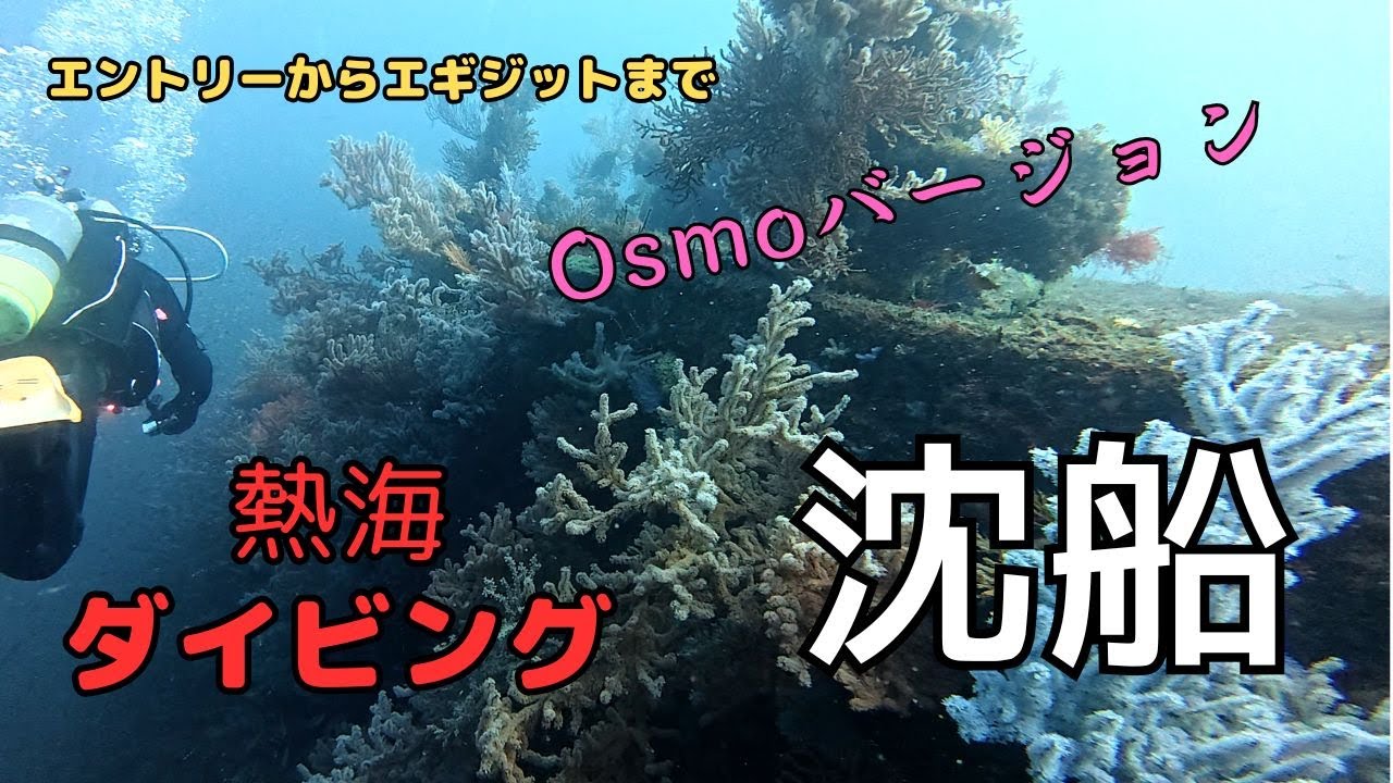 熱海の沈船をデコ注意しながら一周してきた    I went around the Atami shipwreck trying avoiding DECO　Scuba Diving in Japan