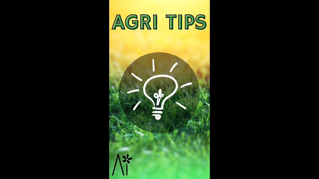 Agri Tip 💡 COME POTARE GIOVANI PIANTE DI MELO - alcuni consigli utili