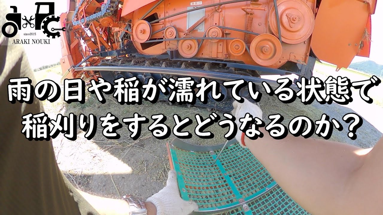 雨が降っている時や濡れている時に稲刈りをするとどうなるか？