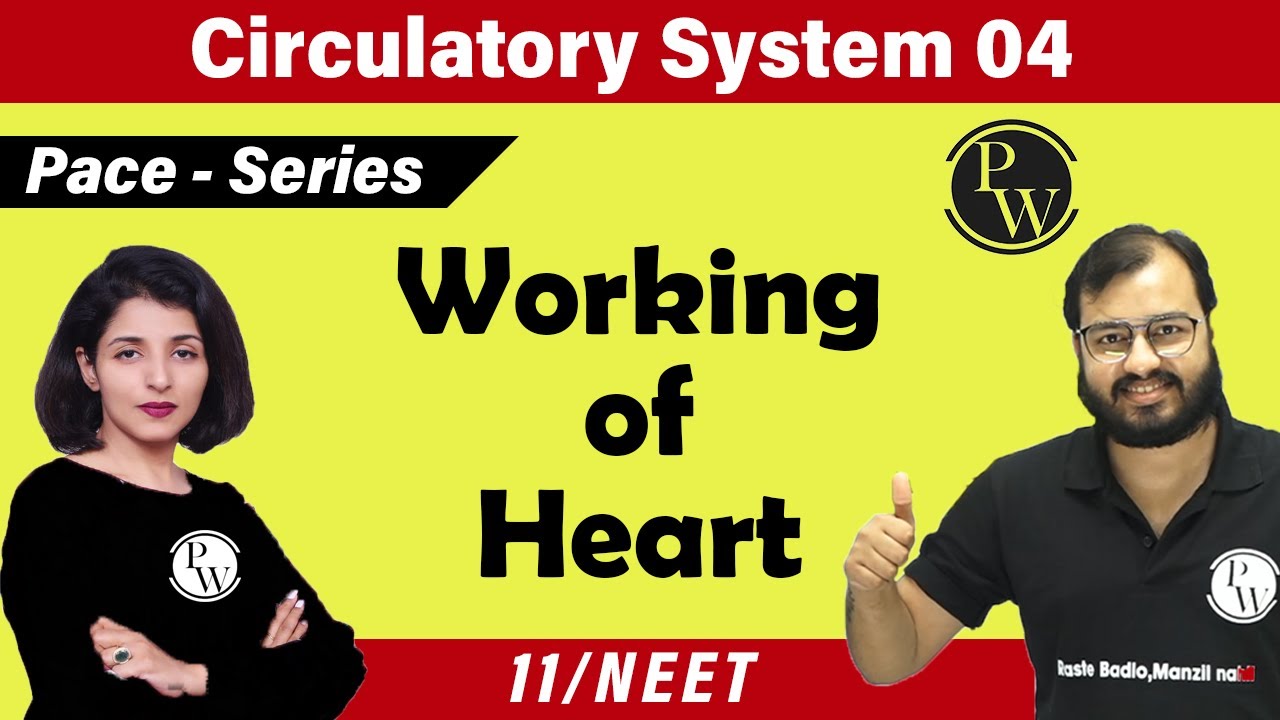 Circulatory System 04 | Working of Heart | Class 11| NEET | PACE SERIES