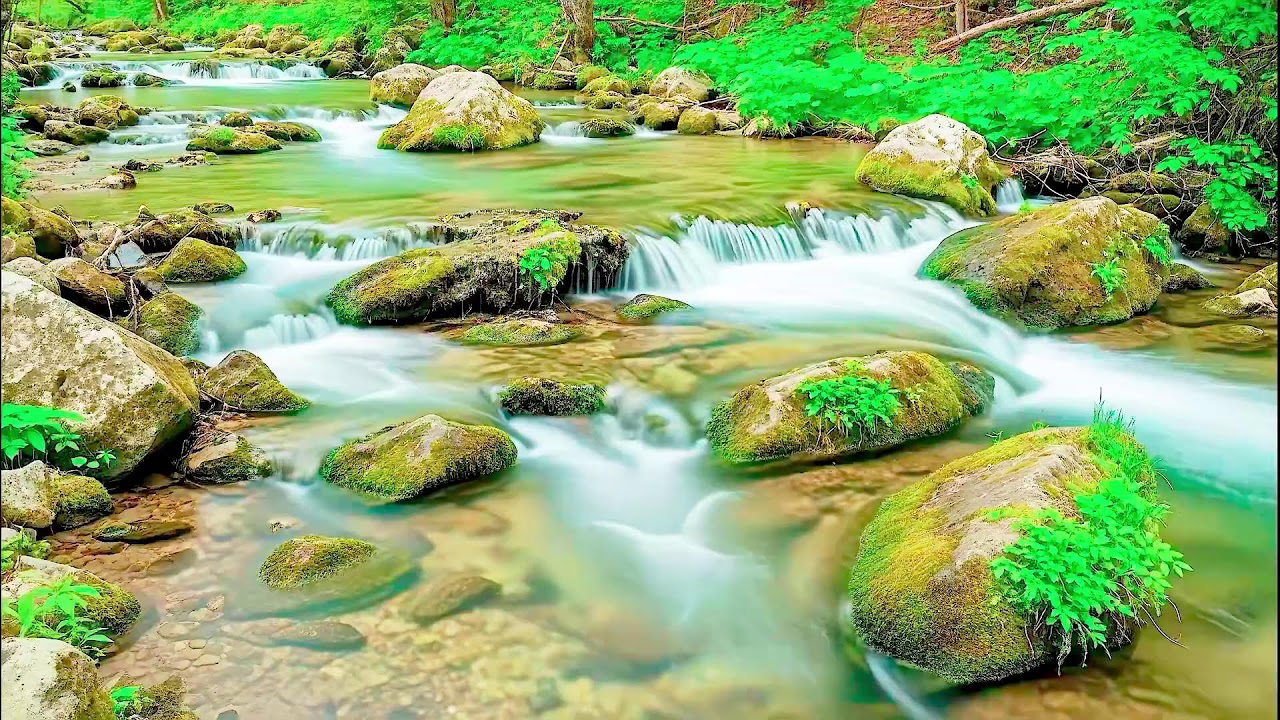 Natural River Sound for Deep Sleep | Stress Relief Audio for Health & Mindfulness
