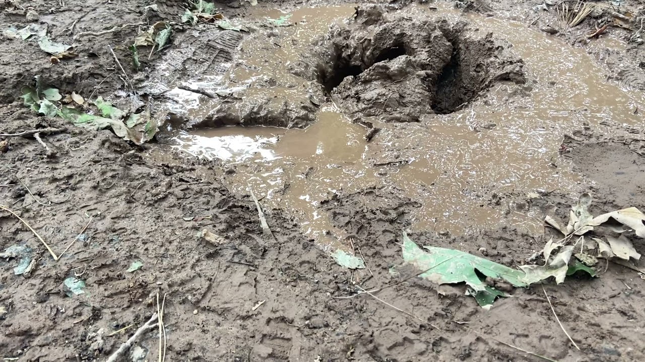 UA sneakers and white socks muddy June 21, 2023