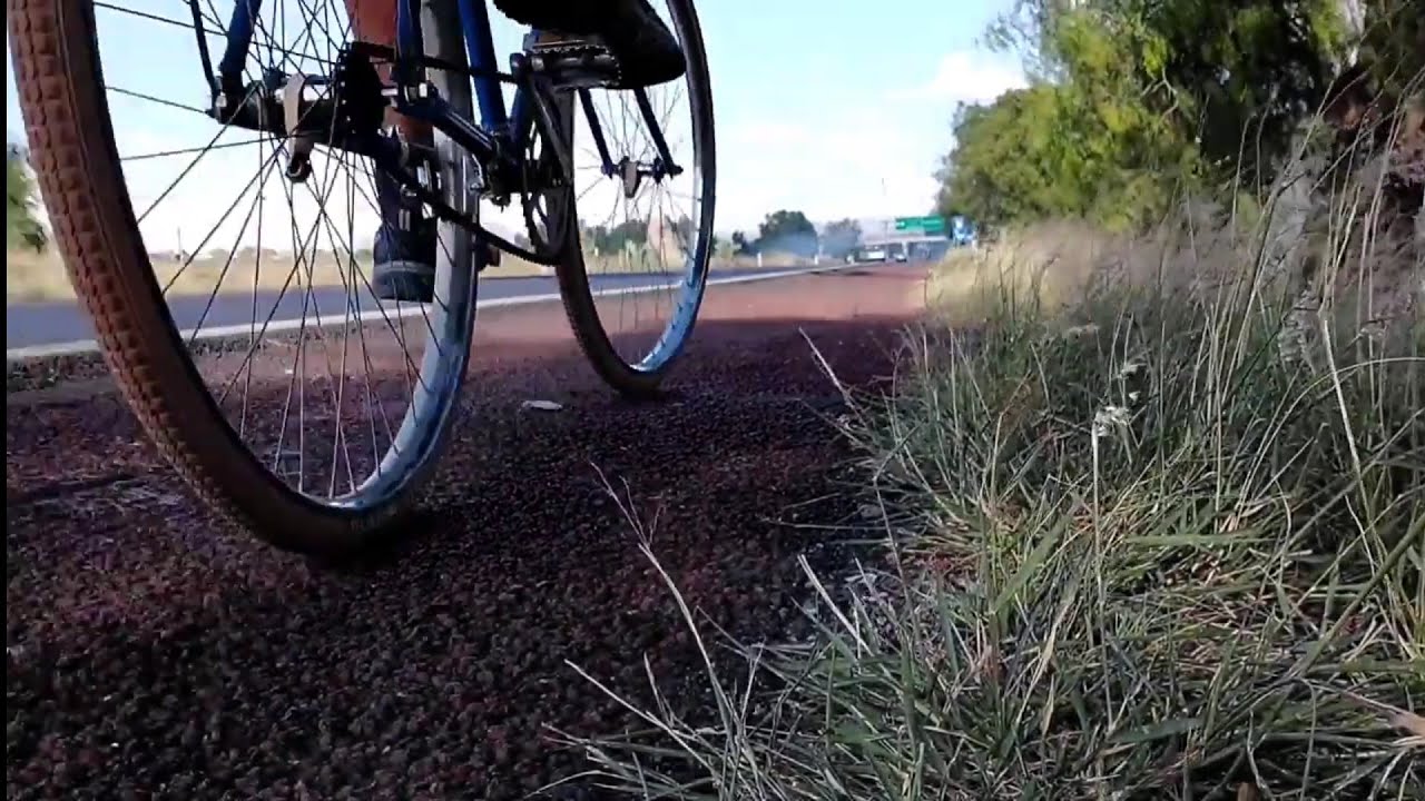 Rodando en Bicicleta de Turísmo por Carretera 🚲🇲🇽