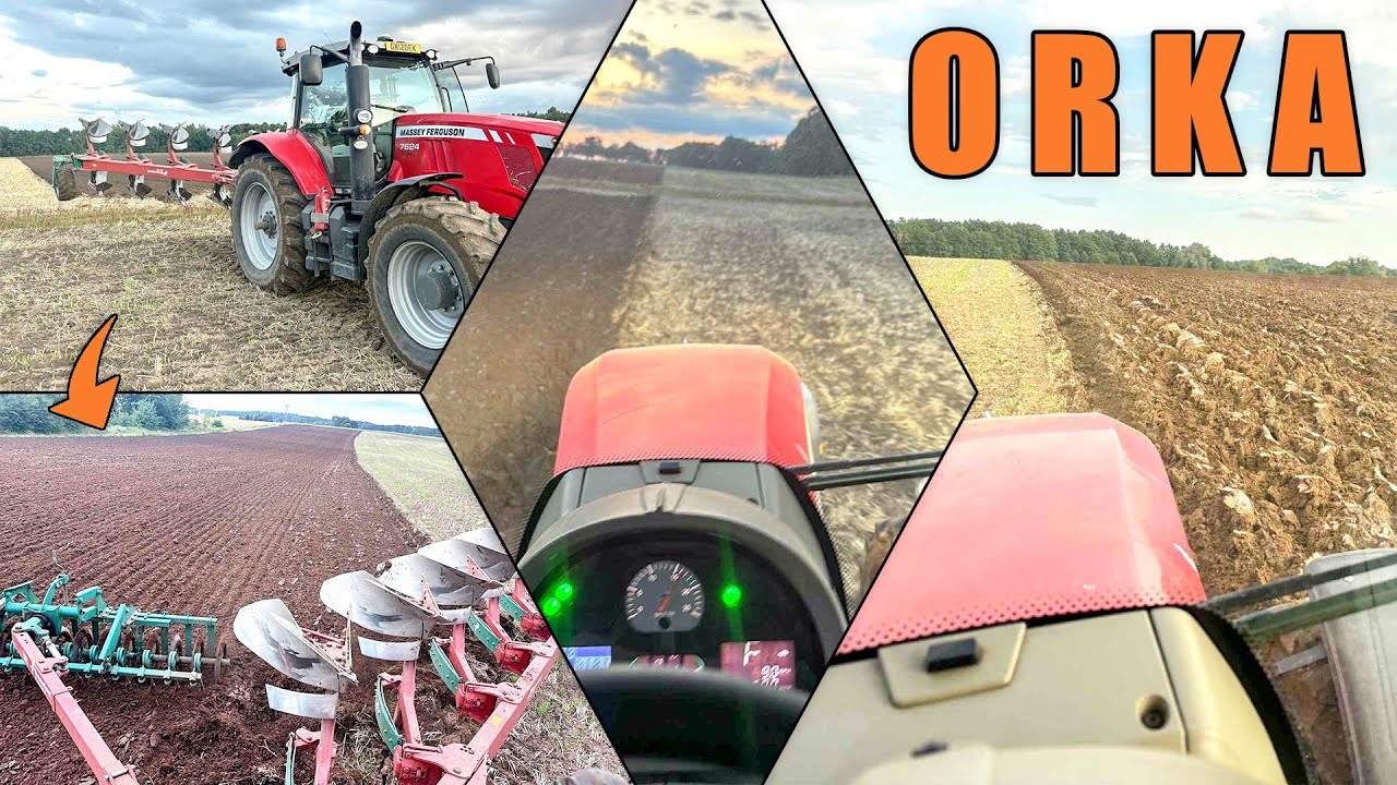 #VLOG Orka pod rzepak/ zboże do skupu /Massey ferguson / robota jako tako idzie/