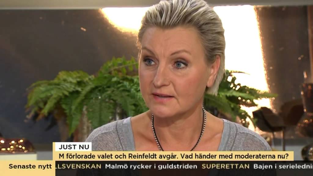 Vad h&auml;nder med Moderaterna efter valet och n&auml;r Reinfeldt slutar? - Nyhetsmorgon (TV4)