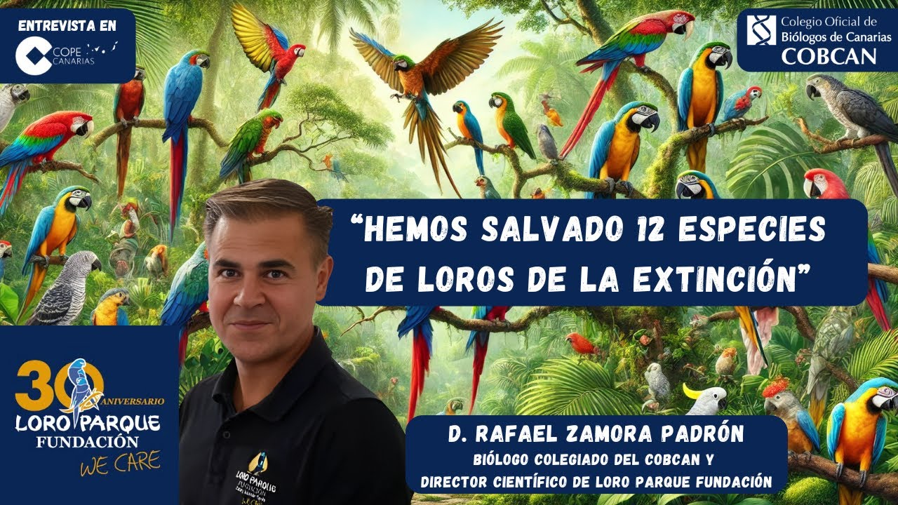 ¿Sabías que 12 especies de loros han sido salvadas de la extinción por Loro Parque Fundación?