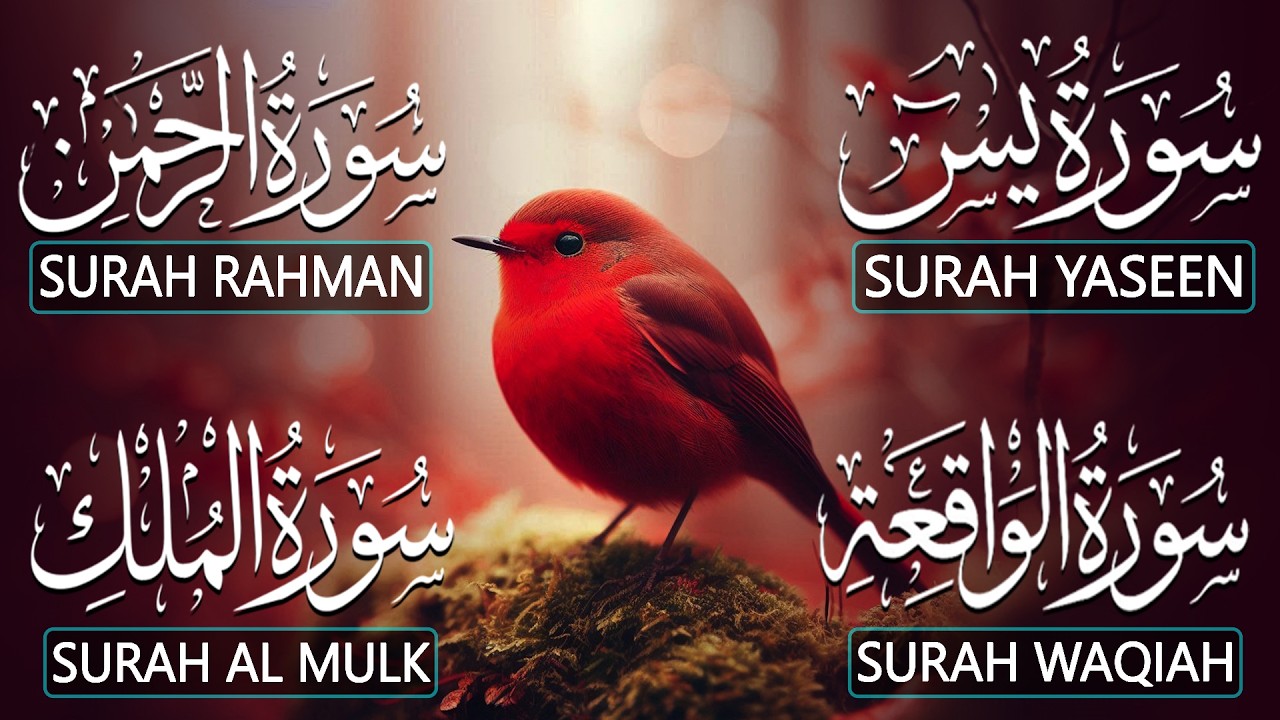Very Nice Voice Surah Yaseen (Yasin) | Surah Rahman | Surah Waqiah | Surah Mulk | By Alaa Aqel