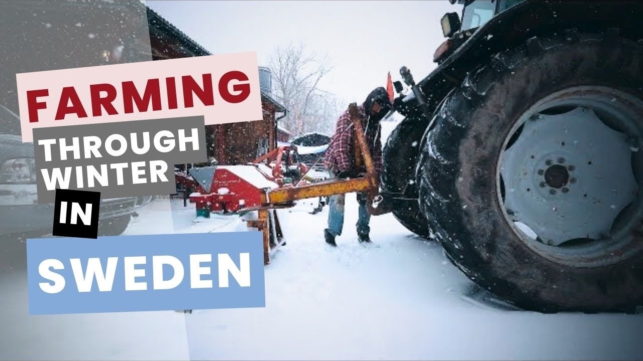The Ups And Downs Of Farming In Winter ❄️ | Farming In Sweden | #07
