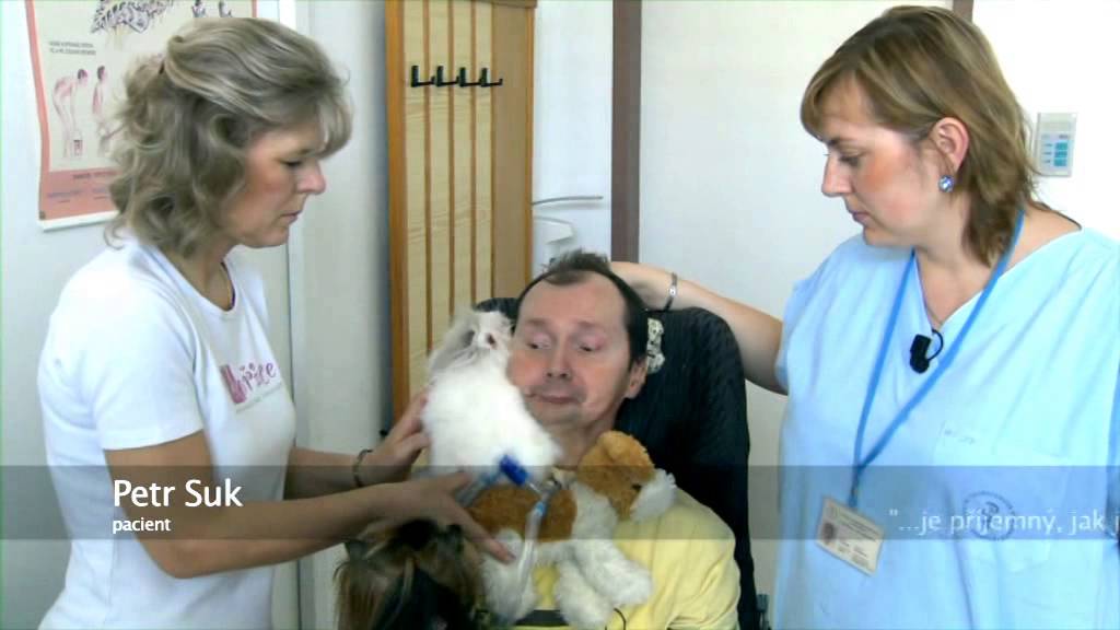 Zooterapie v L&eacute;kořici (2013)