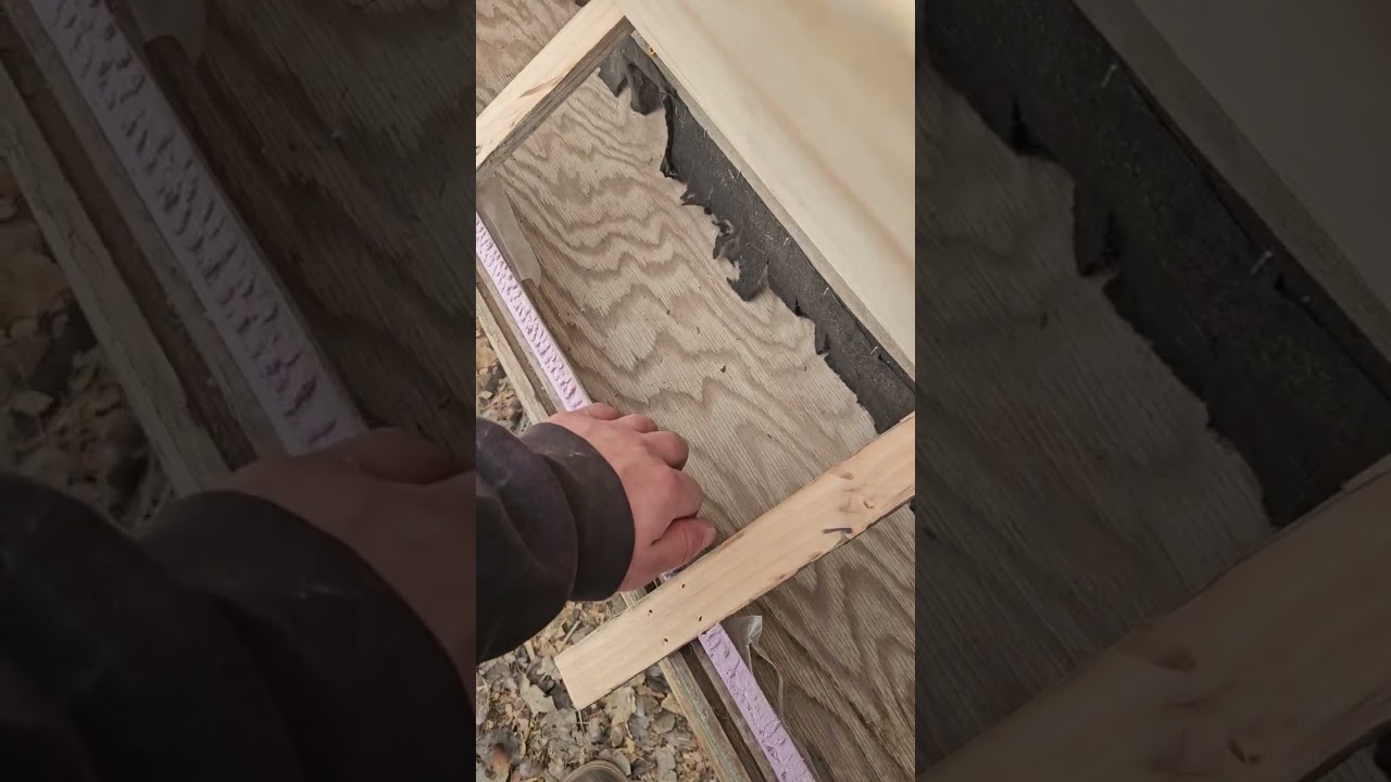 Nest Box Built 