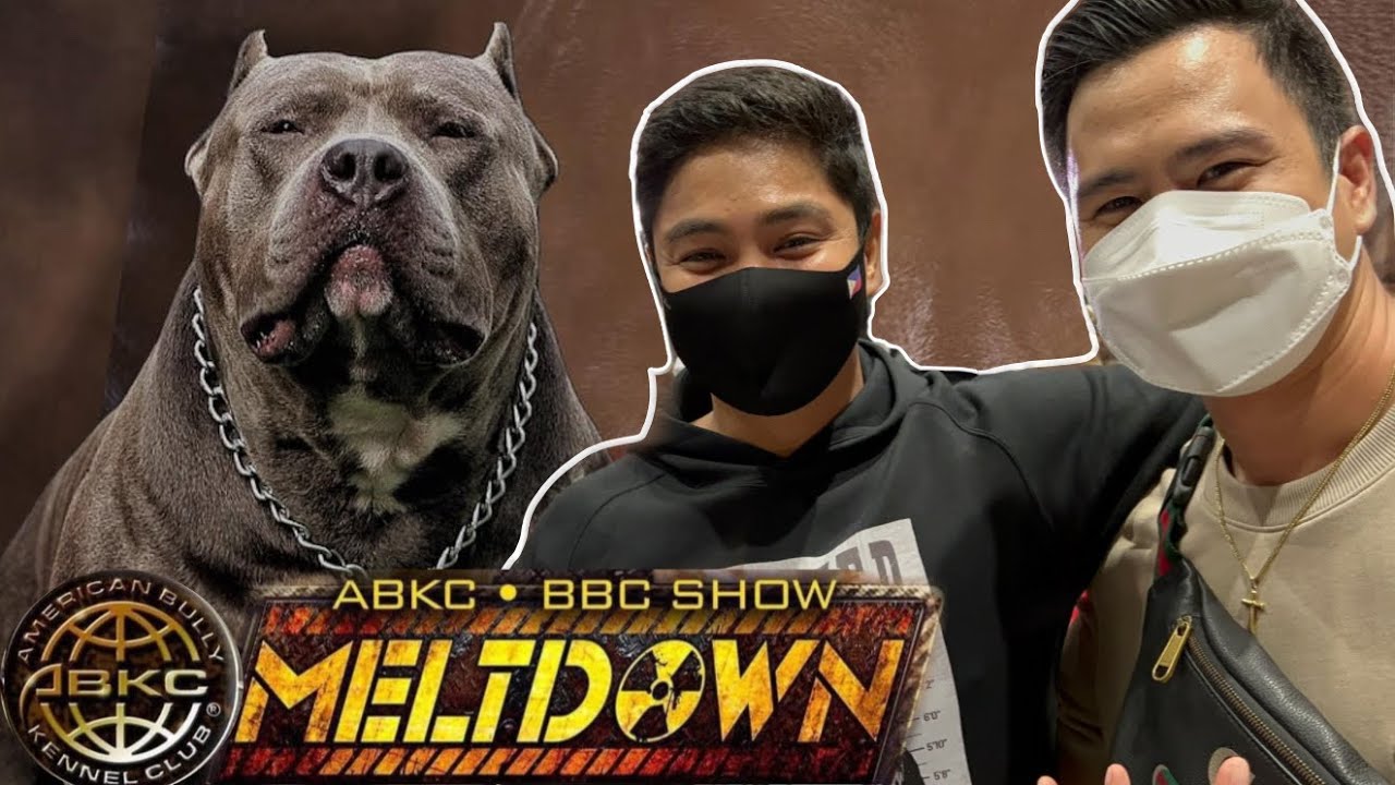 DAMING MALUPIT!!! FIRST INTERNATIONAL BULLY SHOW • ABKC BBC NPTC MELTDOWN • Sam Walastik